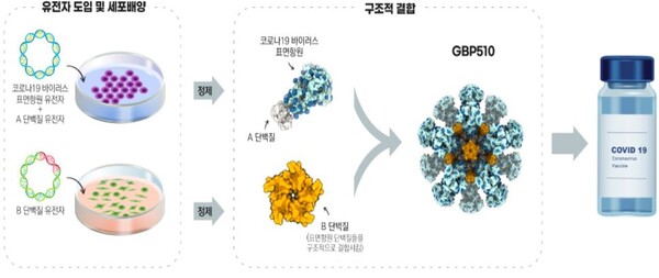 SK바이오사이언스가 개발한 코로나19 백신의 제조과정./자료=식품의약품안전처
