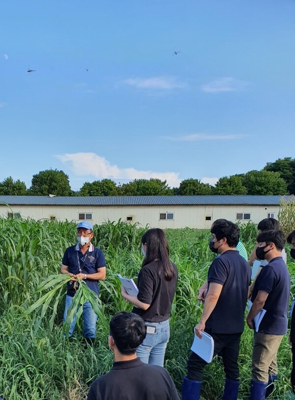 낙농컨설턴트들이 조사료 초종 및 사용방법에 대해 학습하고 있는 모습./사진=농협경제지주