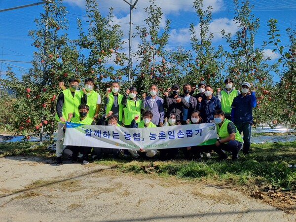 농협경제지주 공판사업분사와 구리공판장 직원들이 20일 강원도 철원군에 위치한 사과농가를 방문해 영농철 농촌일손돕기를 실시했다./사진=농협경제지주
