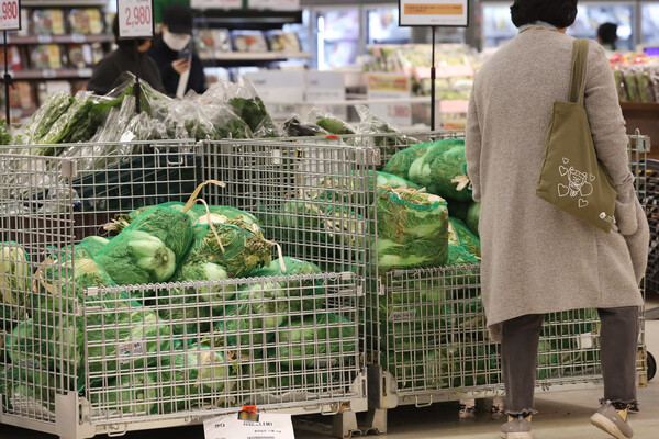 장바구니 물가 비상. /연합뉴스