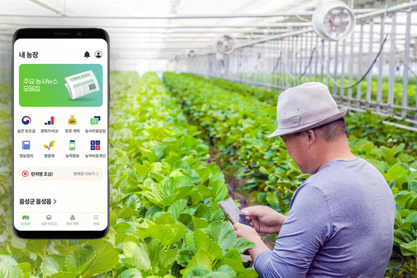 농민이 그린랩스의 원스톱 서비스 ‘팜모닝(Farm Morning)’ 앱을 이용해 작황을 점검하고 있다. 팜모닝에 가입한 농민은 농창업·작물재배 컨설팅·신선마켓 관련 서비스를 이용할 수 있다. /사진=SK스퀘어