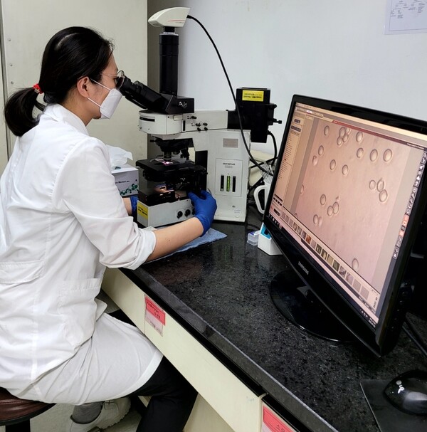 사진=하이트진로