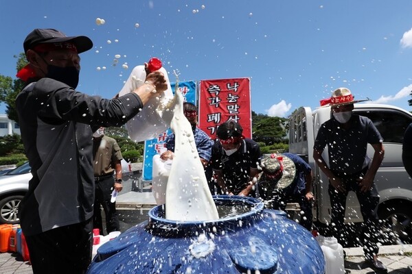 낙농인들이 25일 강원 춘천시 강원도청 앞 공원에서 열린 '낙농 말살 정부·유업체 규탄! 강원도 낙농가 총궐기대회'에서 원유를 큰 통에 쏟아붓고 있다. / 사진=연합뉴스