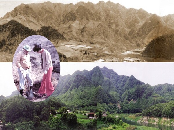 최종현 선대회장과 박계희 여사가 충청북도 충주시 인등산에서 나무를 심는 모습(원안). 배경은 인등산 조림사업 전인 1970년대 초반(위)와 현재(아래) 풍경./사진=SK