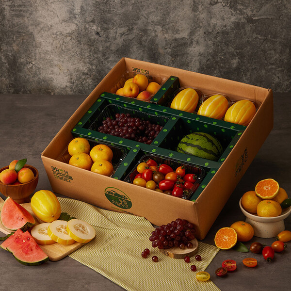 농협과일맛선 상품 이미지./공영홈쇼핑