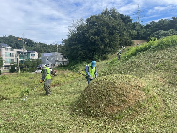 농협 관계자들이 추석을 앞두고 벌초작업을 하고 있다./사진=농협