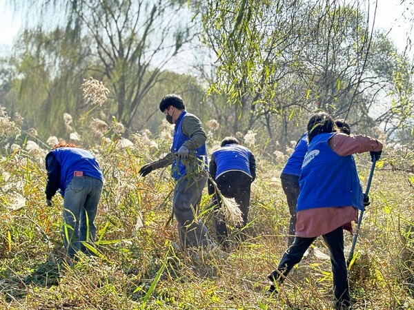 6일 삼성SDS 임직원들이 광나루 한강 공원에서 생태 보호를 위한 환경 정화 활동에 참여하고 있다./사진=삼성