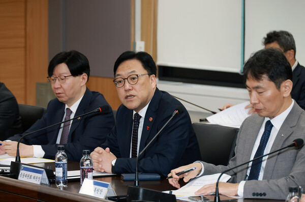 김병환 금융위원장(가운데)이 2024년 12월 4일 오전 서울 종로구 정부서울청사에서 열린 금융상황점검회의에서 발언하고 있다./사진=금융위원회