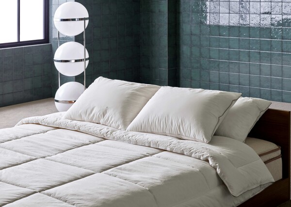 /2024.12.20.시몬스