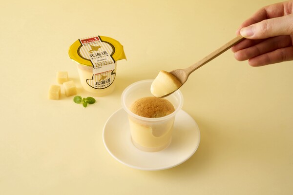 홋카이도 치즈 케이크 푸딩