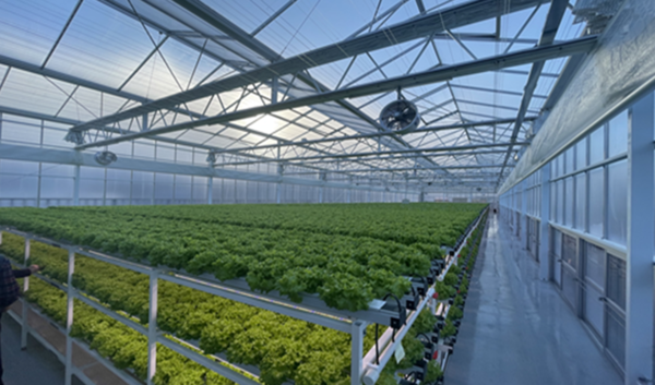 스마트팜 현장 / 2024. 1. 24. 창원시