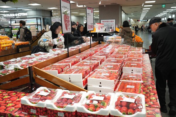 롯데마트 제타플렉스 잠실점 딸기 코너 전경 / 사진=롯데마트·슈퍼