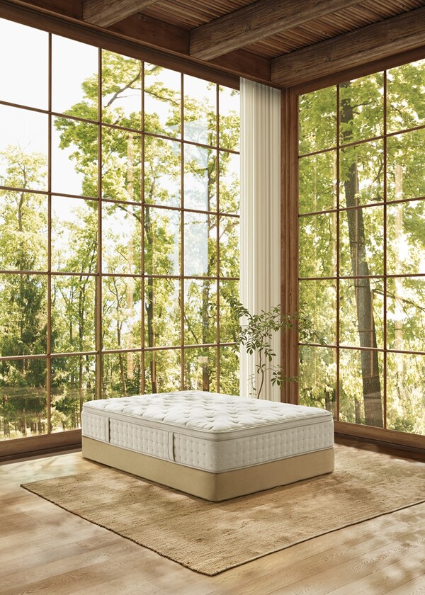 마테라소 포레스트 컬렉션 /2025.2.19.신세계까사