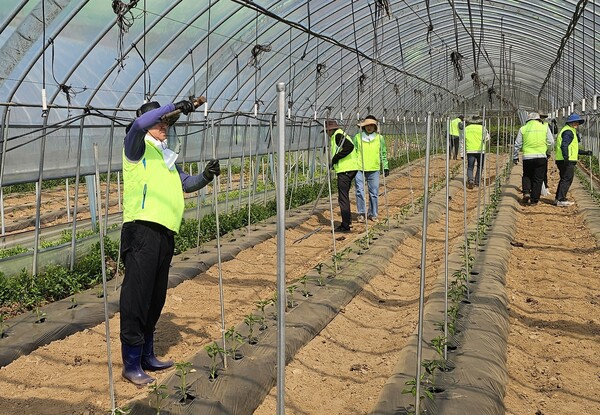 농협중앙회 기획조정본부는 2025년 4월 25일 강원도 춘천시 사북면 소재 농가를 방문해 농촌일손돕기를 실시했다 / 사진=농협중앙회