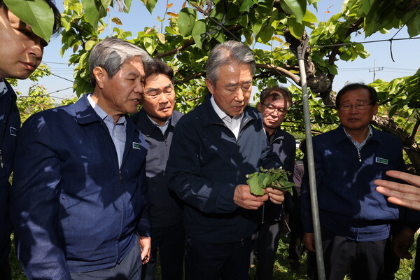 2025년 4월 30일 농협중앙회 강호동 회장(왼쪽에서 3번째)은 경북 상주를 찾아 최근 이상저온으로 냉해 피해를 입은 배 재배농가를 방문하여 피해상황을 점검하고 있다. /사진=농협중앙회