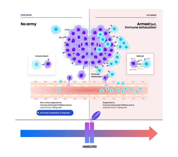 HM16390의 작용기전 /2025.5.19.한미약품