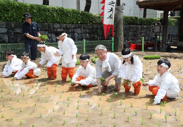 강호동 농협중앙회장이 서울 중구 농업박물관 앞 야외농장에서 초등학교 3~4학년 어린이들과 함께 못줄을 이용한 전통 손모내기 체험행사에 참여하고 있다. / 사진=농협중앙회