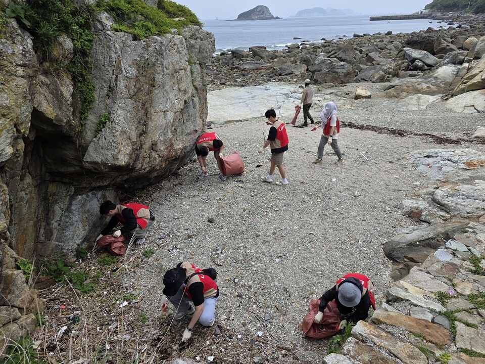 롯데칠성음료 임직원들이 해양 쓰레기를 수거하고 있다. 2025.5.26./사진=롯데칠성음료