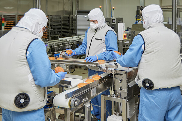 던킨 안양공장 직원들이 온열 질환 예방을 위해 마련된 냉풍조끼를 입고 작업하고 있다.2025.07.14/사진=SPC그룹