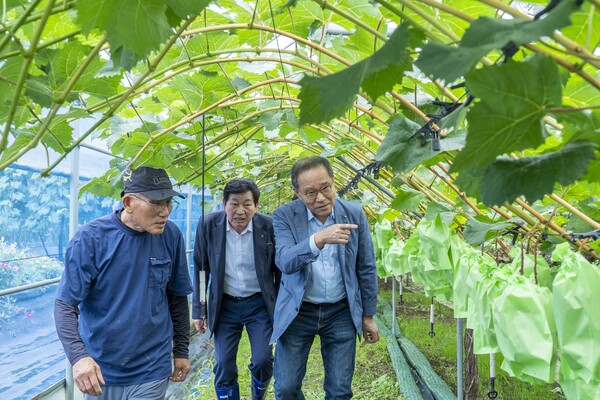 이찬우 NH농협금융 회장(오른쪽에서 첫 번째)과 안산농협 박경식 조합장(오른쪽에서 두 번째)이 2025년 7월 18일, 경기도 남부 소재 농가를 방문해 애로사항을 청취하고 있다./사진=NH농협금융