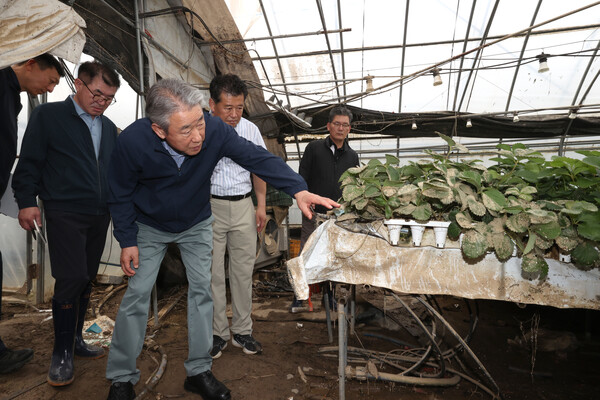 2025년7월20일(왼쪽부터 세번째) 강호동 농협중앙회 회장이 집중호우로 큰 피해를 입은 충남 예산·아산 및 경남 합천·산청의 피해현장을 방문해 농업 피해상황을 점거하고 있다./사진=농협중앙회