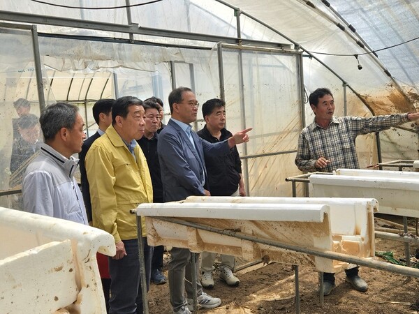 이찬우 NH농협금융지주 회장이 2025년 7월 21일, 충남 홍성군 침수 피해를 입은 딸기 농가를 찾아 농업인의 피해 현황과 애로사항을 청취하고 있다./사진=NH농협금융지주