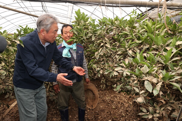 강호동 농협중앙회장이 2025년 7월20일 충청남도 서산 폭우 피해현장을 둘러보며 농업인을 위로하고 있다./사진=농협