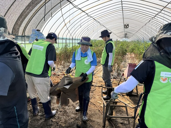 박도성 NH농협은행 IT부문 부행장과 직원들이 2025년 7월 25일 수해복구 작업을 진행하고 있다. /사진=NH농협은행