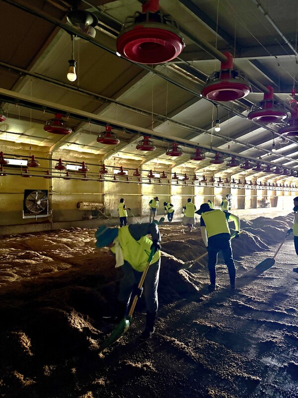 농협 임직원들이 수해 복구 현장을 돕고 있다. /2025.7.28.농협중앙회