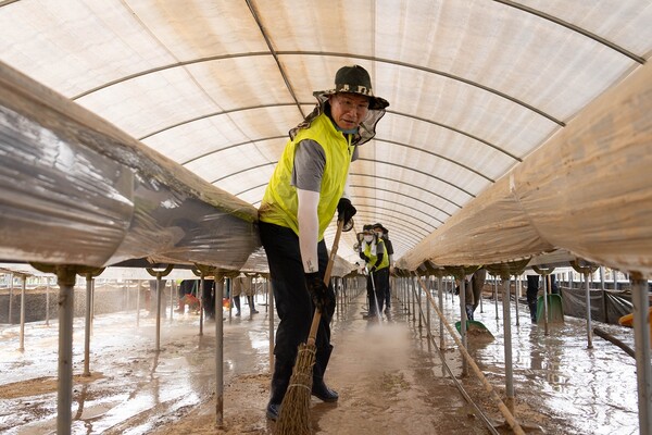 강태영 은행장(가운데)을 비롯한 농협은행 임직원들이 2025년 7월 29일 충남 당진을 찾아 관내 농축협 임직원들과 함께 피해복구를 지원했다./사진=농협은행