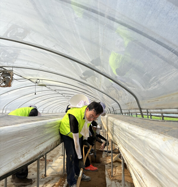 NH농협은행 준법감시부문 이재홍 준법감시인과 임직원들이 2025년 7월 30일 최근 호우 피해를 입은 충남 홍성군 갈산면 소재 농가를 찾아 일손돕기를 실시하고 있다./사진=NH농협은행