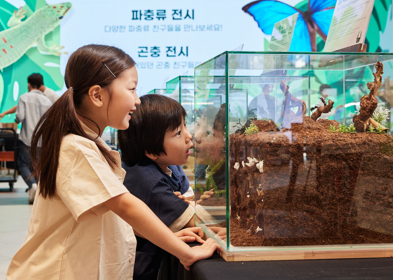 어린이 모델들이 스타필드 수원에서 진행하는 102만 이색동물 유튜버 ‘다흑’ 생태 체험 팝업 스토어에서 곤충을 관찰하고 있다. 2025.8.1./사진=신세계프라퍼티