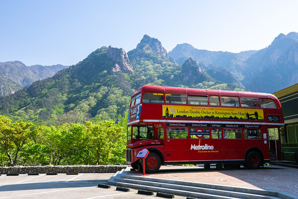 켄싱턴호텔 설악 전경./이랜드파크