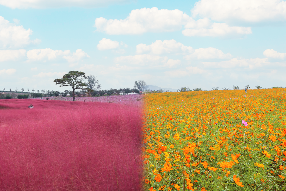 2025.9.19./사진=농협경제지주