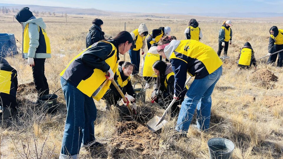 '2025 몽골 식목일 기념 카스 희망의 숲 나무심기' 봉사활동에 참여한 봉사자들이 묘목을 심고 물을 주는 활동을 펼치고 있다. 2025.10.17./사진=오비맥주