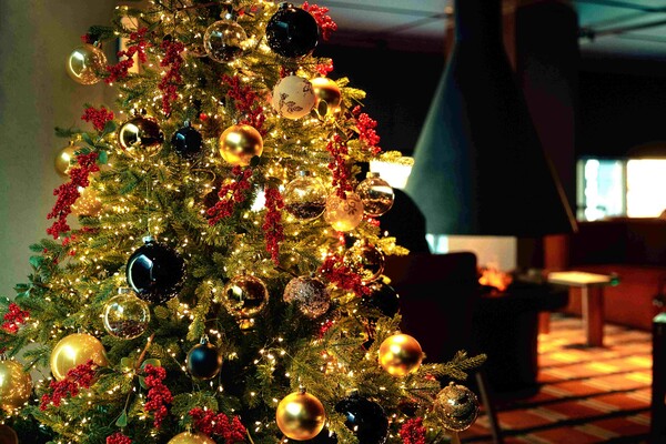 스타벅스 리저브도산 /스타벅스 코리아