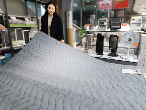 사진=롯데하이마트