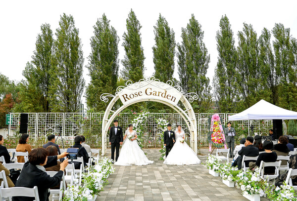 KB증권과 서울시 미래한강본부가 협력해 2025년 11월 8일 서울 광나루한강공원 장미원에서 ‘한강 야외결혼식’을 진행했다. /사진=KB증권