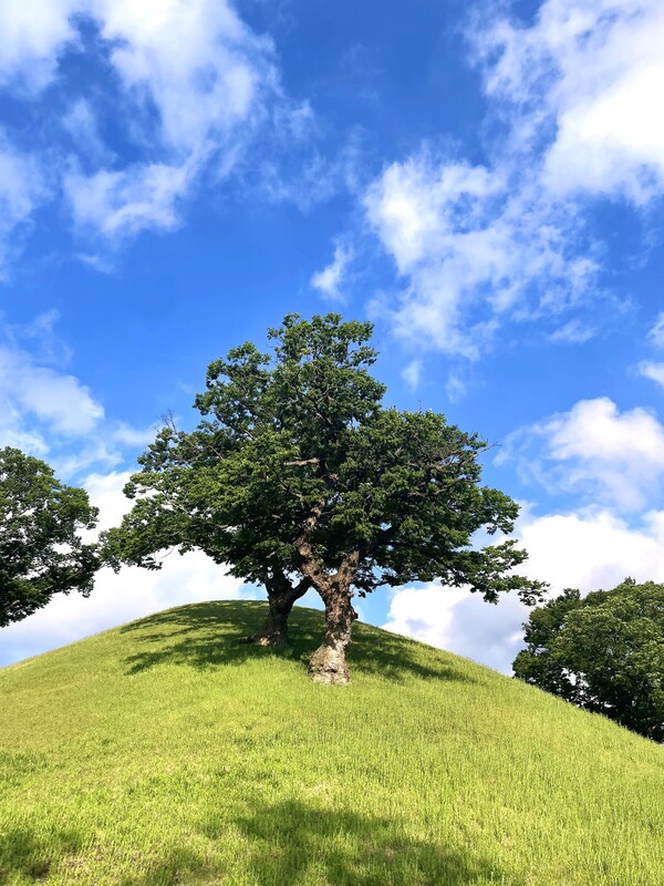 '제 2회 HS효성 2026 사진 공모전' 당선작./사진=HS효성