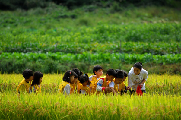 농협은 2025년 11월 18일 농업가치 국민공감 캠페인인 농심천심운동의 일환으로 전국 지자체와 협력해 도시와 농촌을 잇는 '농촌여행 新사업'을 본격 추진한다고 밝혔다. /2025.11.18 농협중앙회