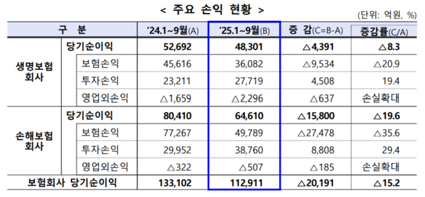 주요 손익 현황/금융감독원