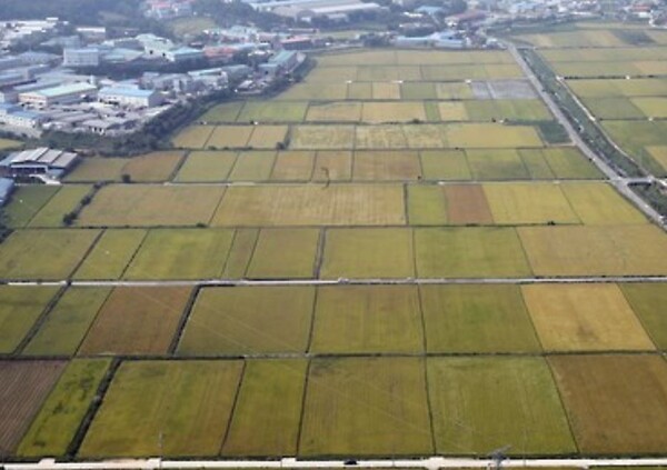 전국 농지 사상 첫 전수조사…“투기성 농지 강제 처분도 검토”