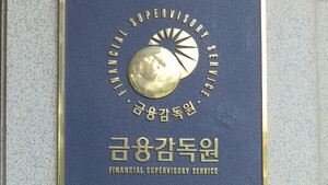 프라임자산운용 '경영유의'..금감원 &quot;투자심의위 운영 개선 필요&quot; - 뉴스 썸네일 이미지