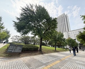 국민연금 '삼성 합병' 손배소송 본격...'정부 개입 실체' 공방 - 뉴스 썸네일 이미지