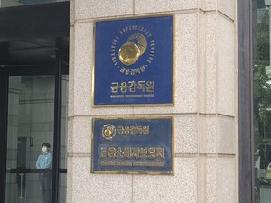 금감원, 보험사기 연루 설계사 24명 무더기 제재 - 뉴스 썸네일 이미지