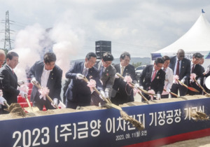 <b>증선위</b>, <b>금양</b> 중징계.."허위매출에 자기자본 부풀리기"